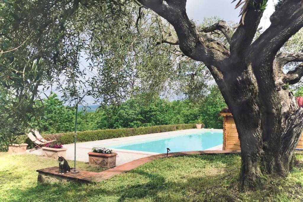 La Coccinella Daire San Venanzo Dış mekan fotoğraf