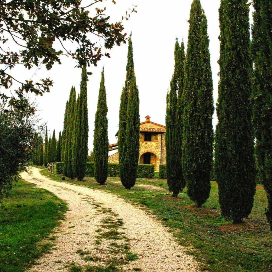 La Coccinella Daire San Venanzo Dış mekan fotoğraf