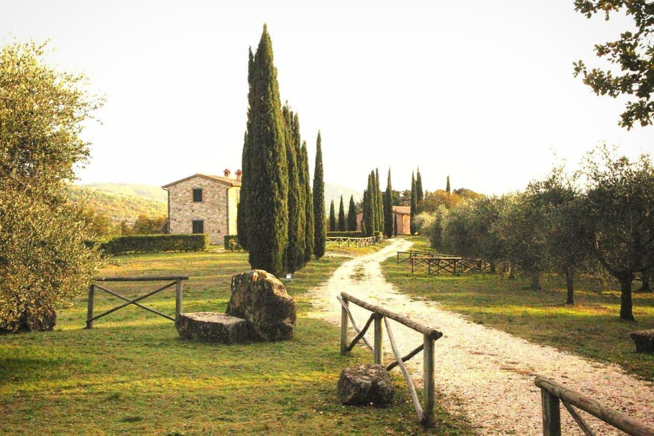 La Coccinella Daire San Venanzo Dış mekan fotoğraf