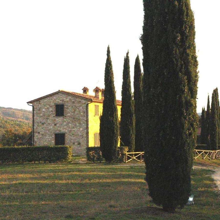 La Coccinella Daire San Venanzo Dış mekan fotoğraf