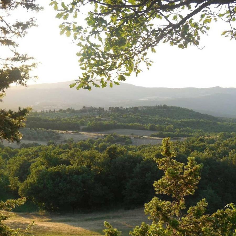 La Coccinella Daire San Venanzo Dış mekan fotoğraf