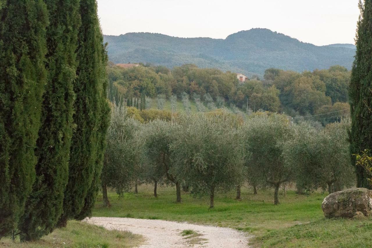 La Coccinella Daire San Venanzo Dış mekan fotoğraf