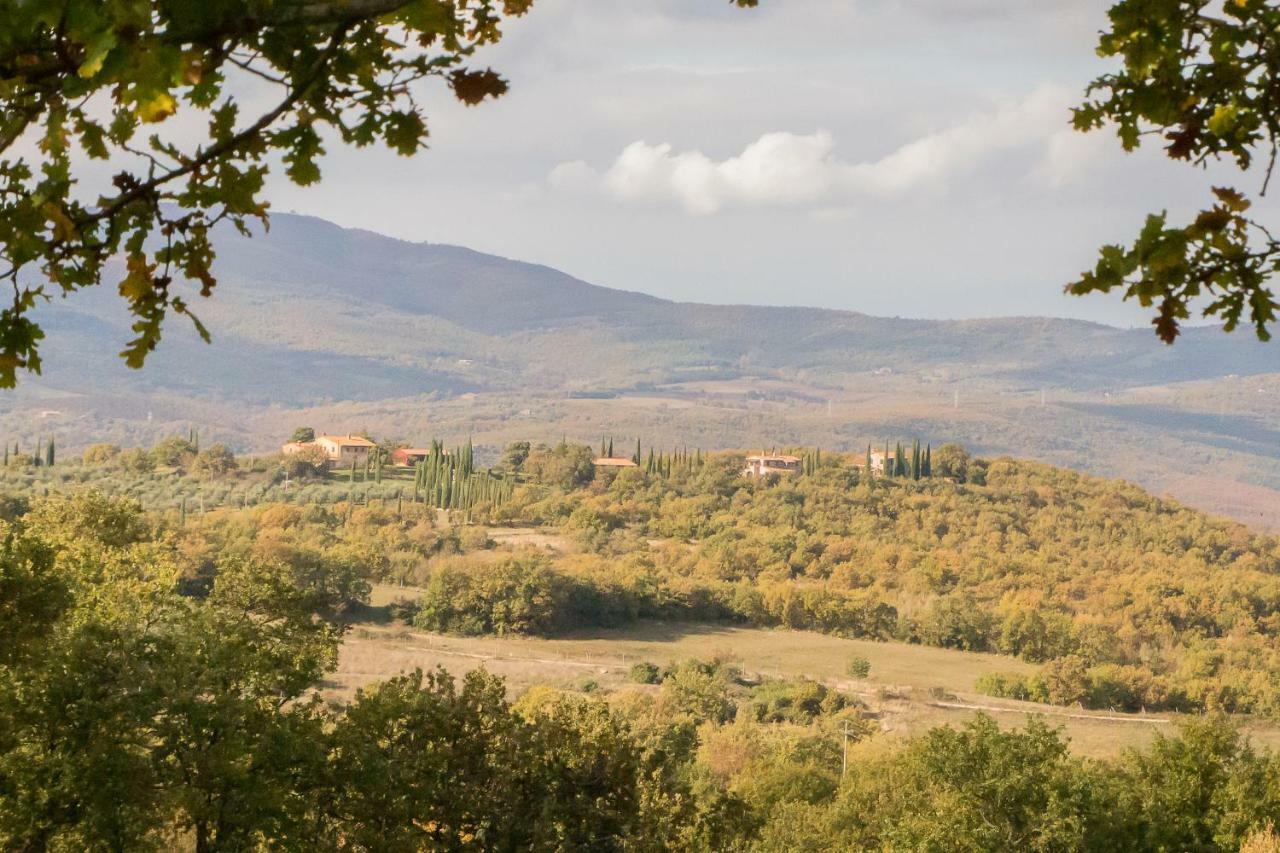 La Coccinella Daire San Venanzo Dış mekan fotoğraf