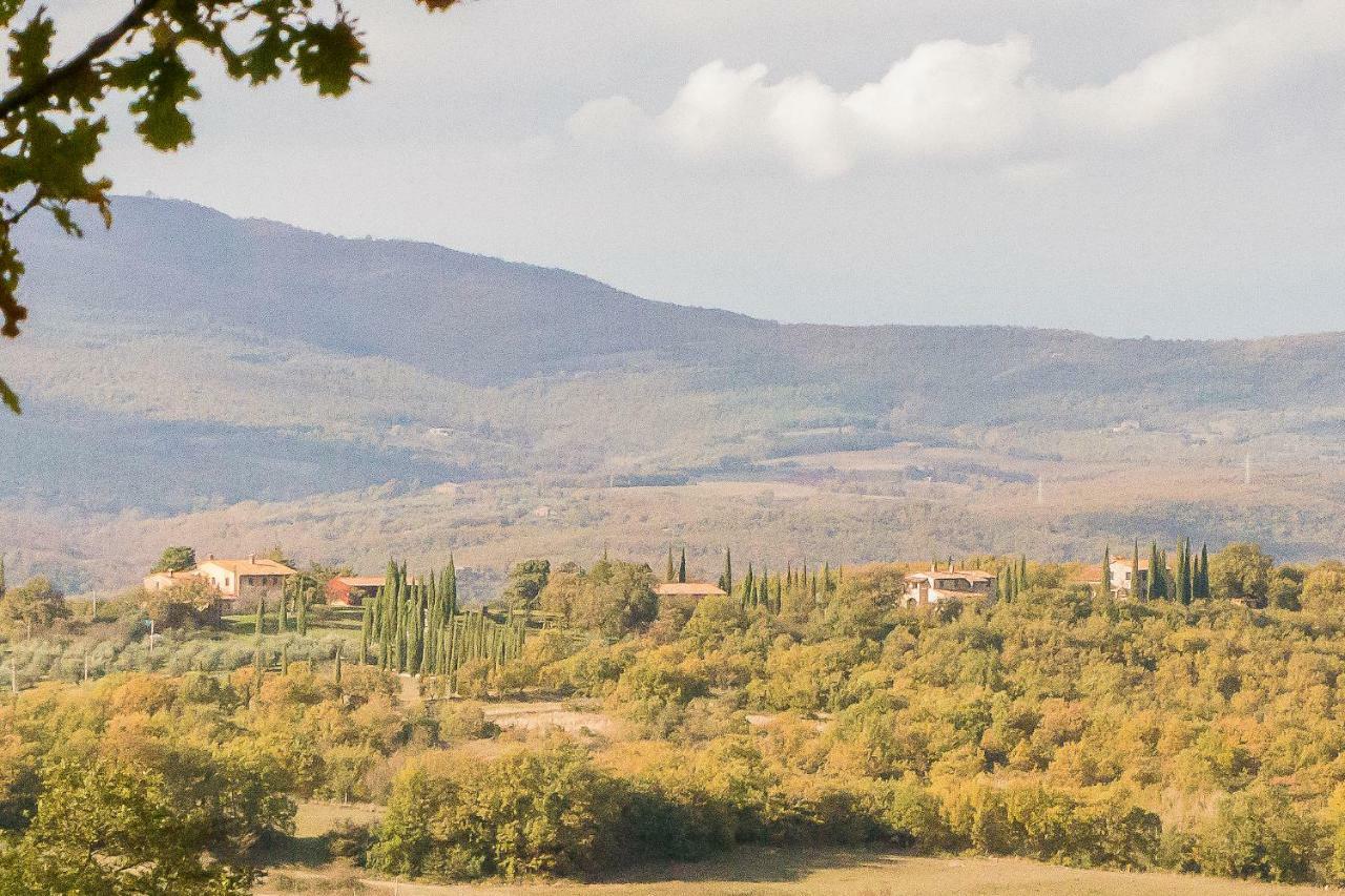 La Coccinella Daire San Venanzo Dış mekan fotoğraf