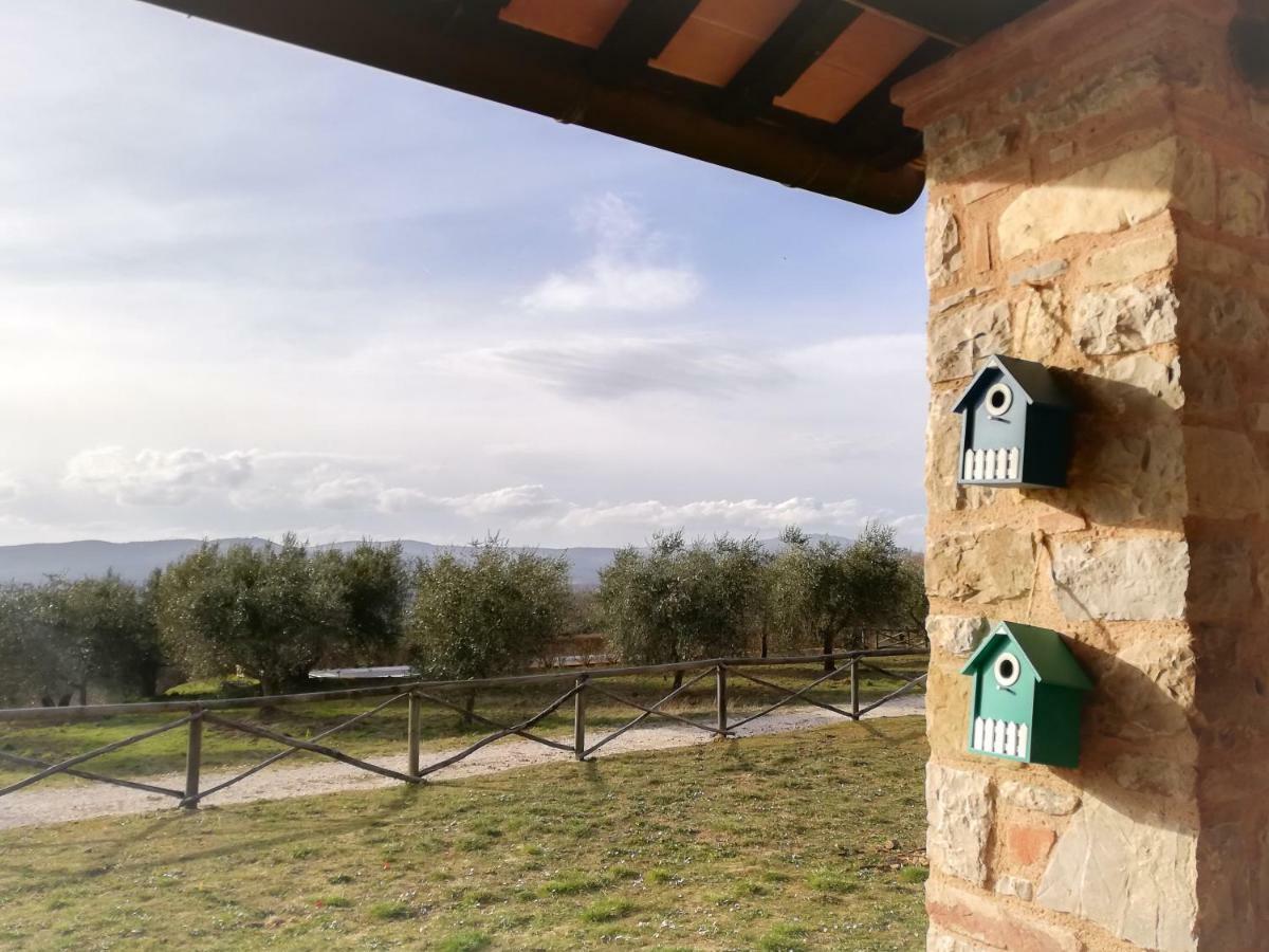 La Coccinella Daire San Venanzo Dış mekan fotoğraf