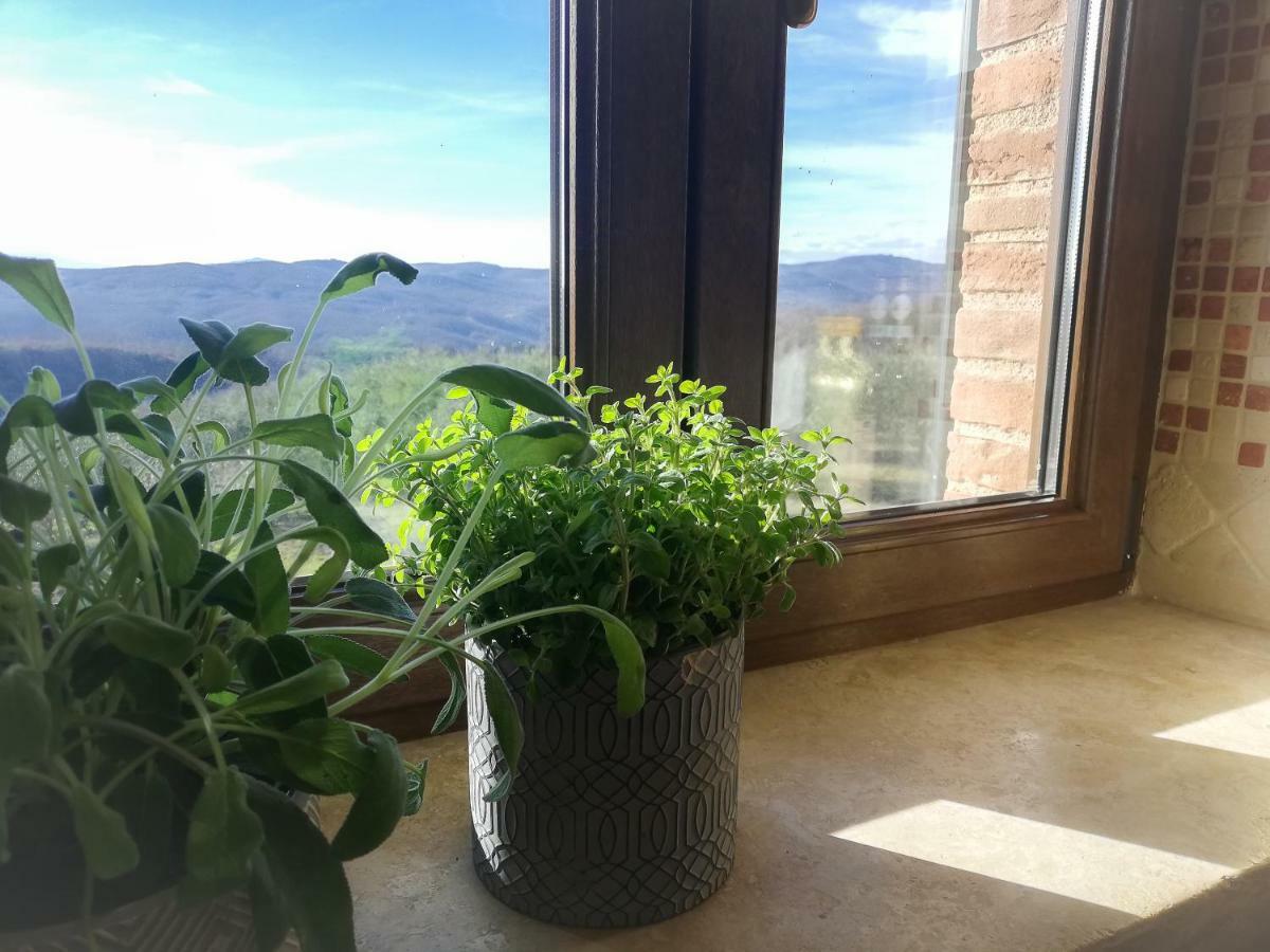 La Coccinella Daire San Venanzo Dış mekan fotoğraf