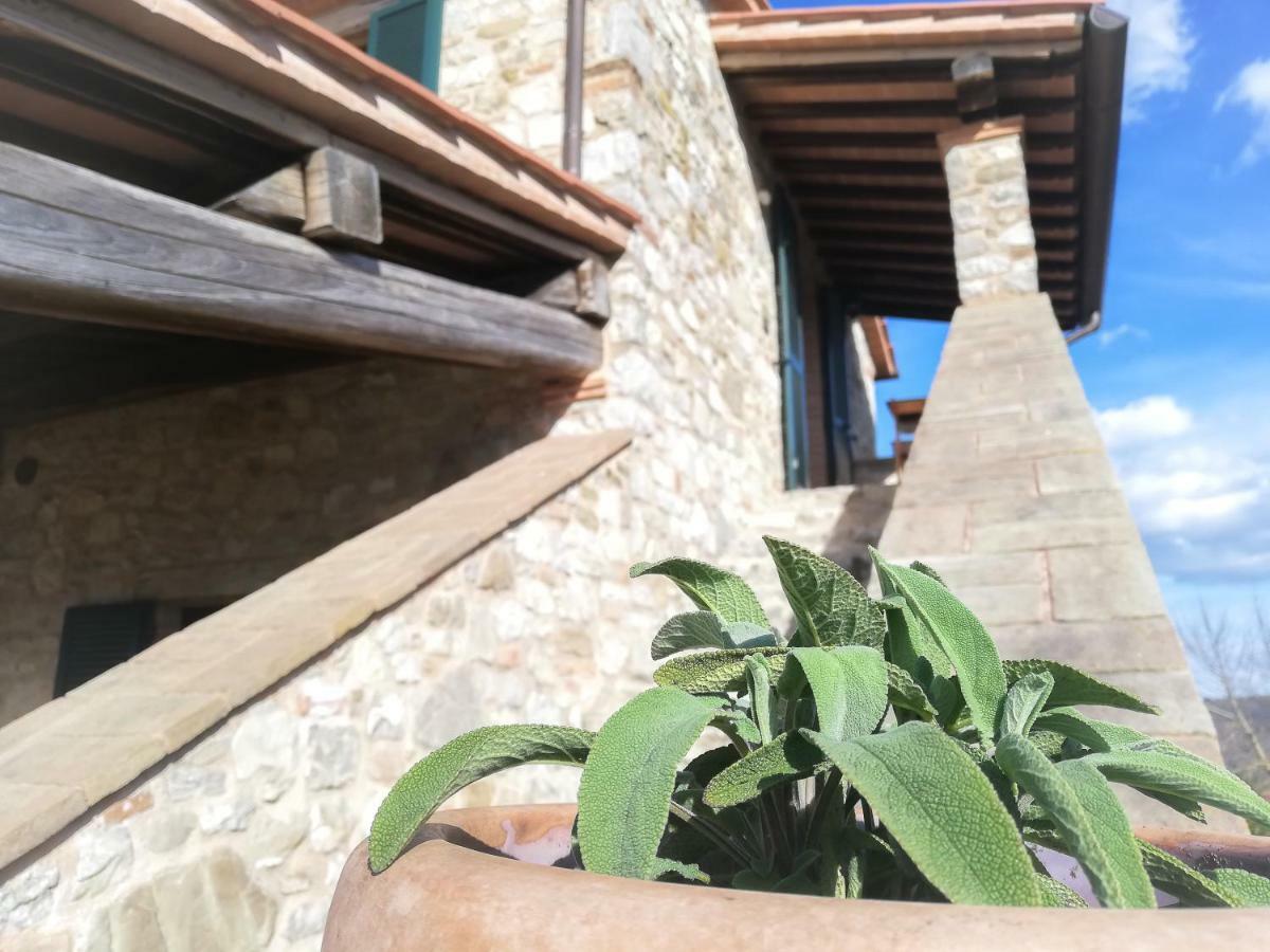La Coccinella Daire San Venanzo Dış mekan fotoğraf
